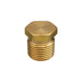 1/8 in. NPT Hex Head Plug - am-2024 - migrated